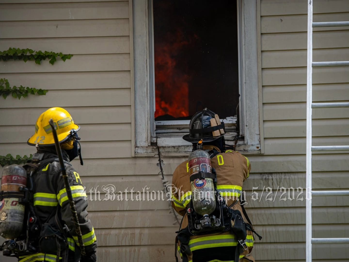From the scene
