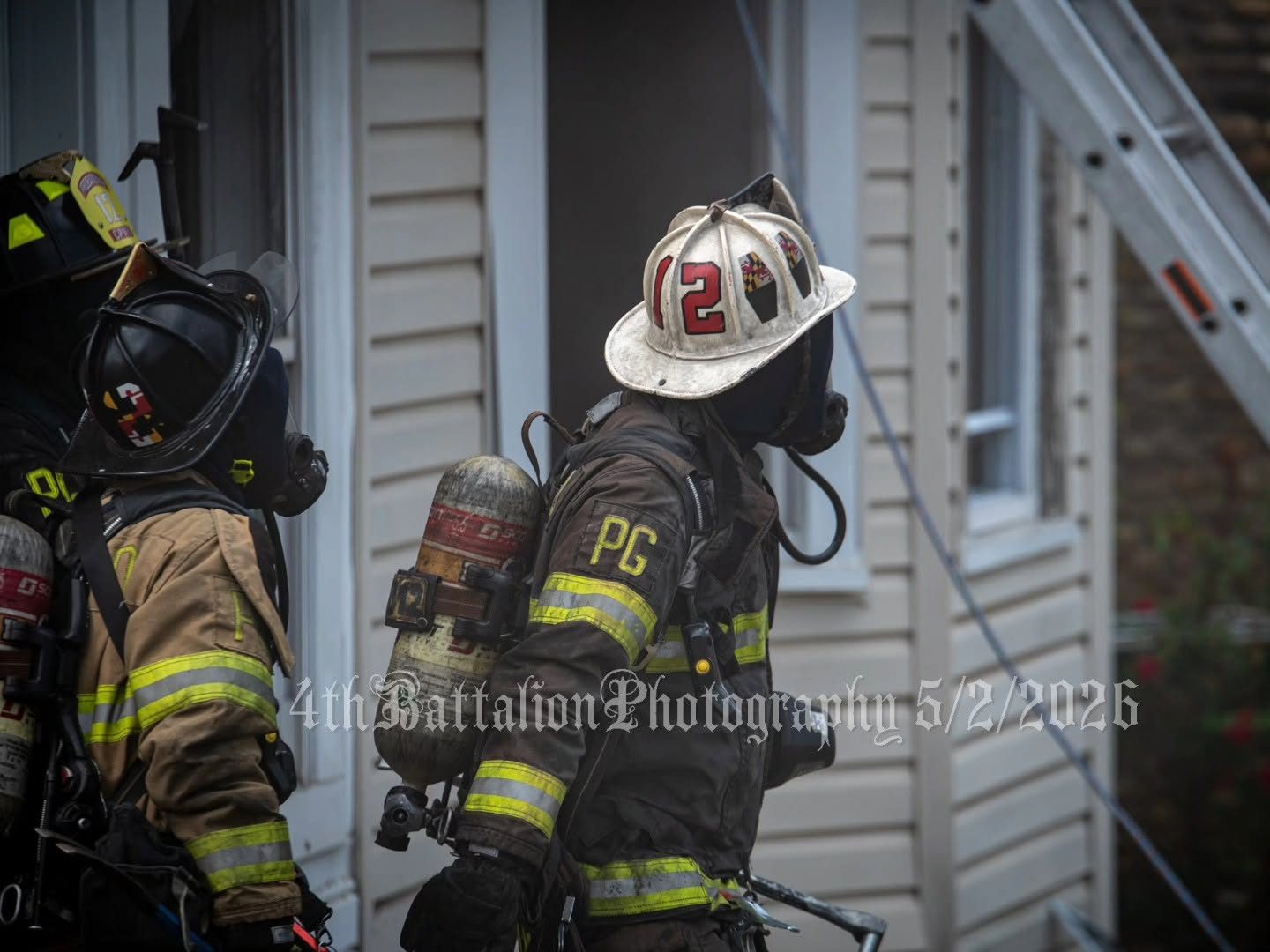 From the scene