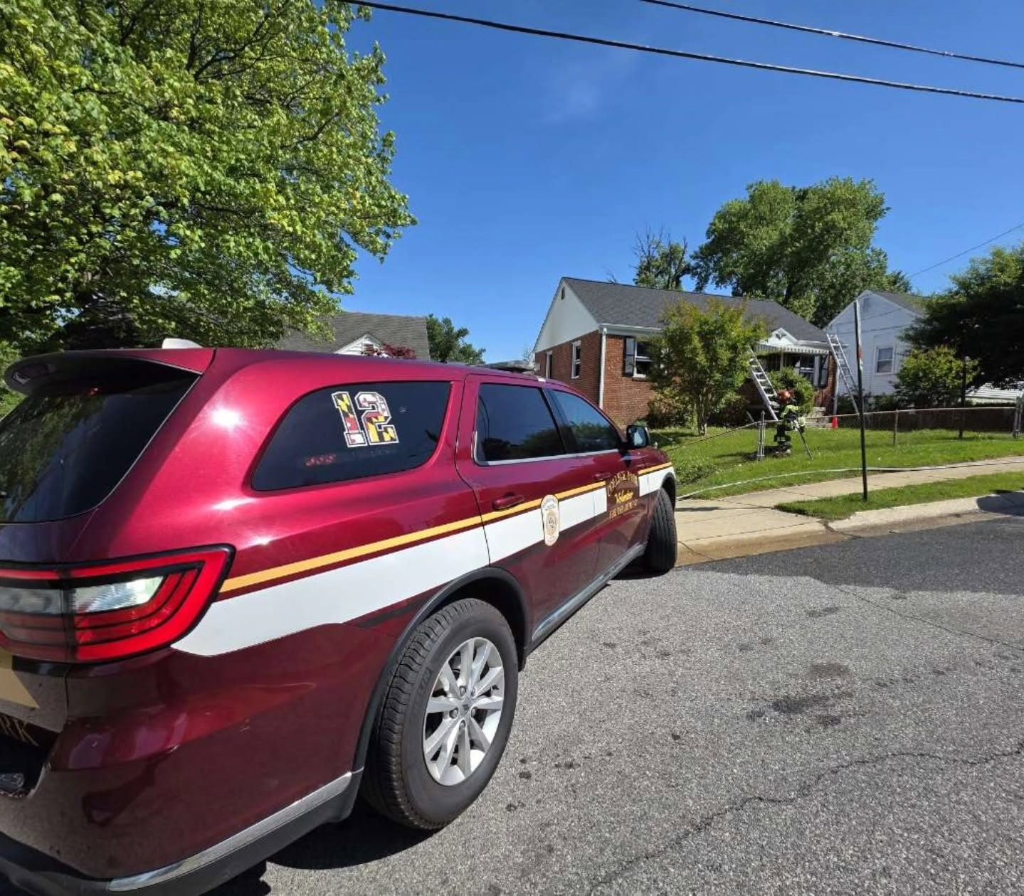 From the scene