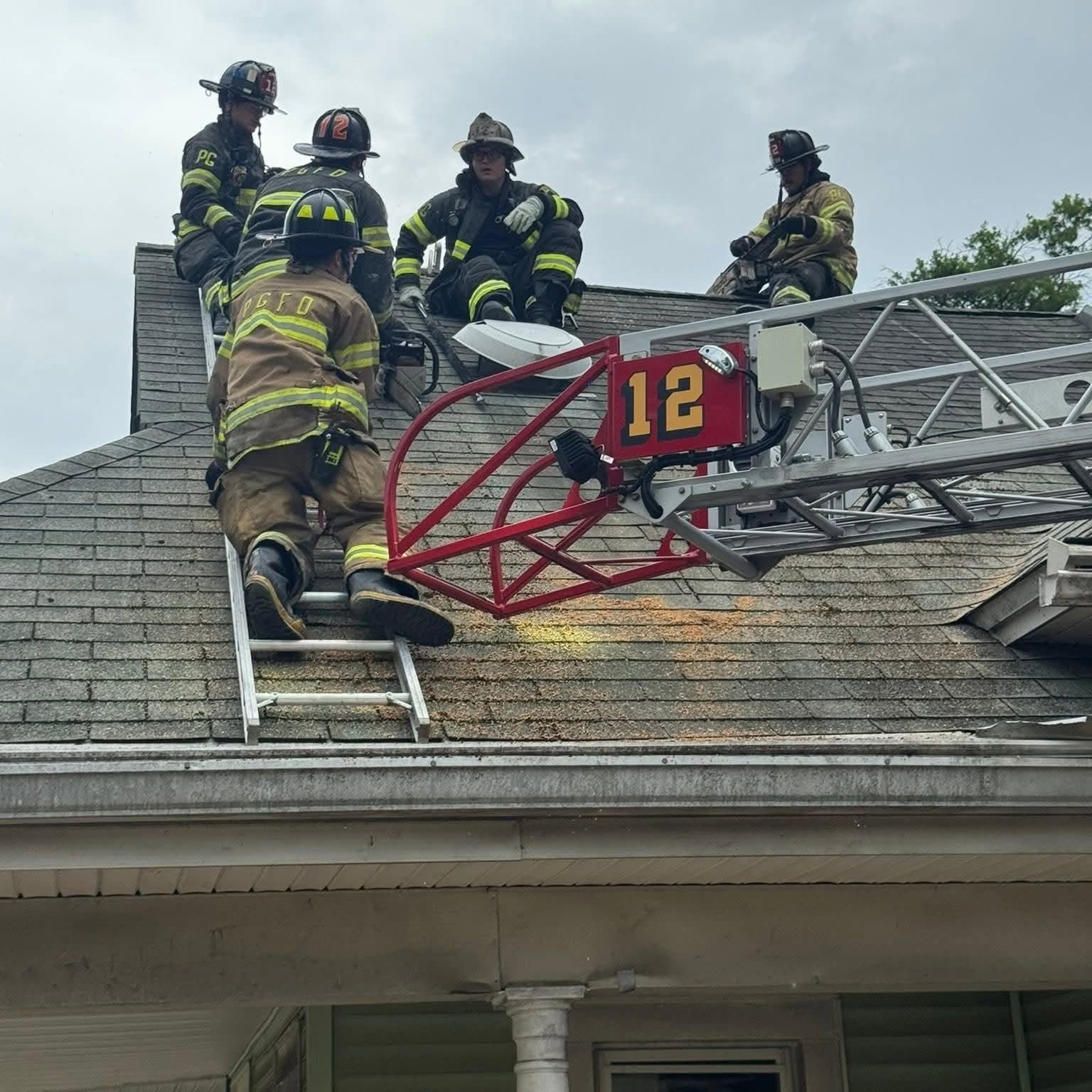 From the scene