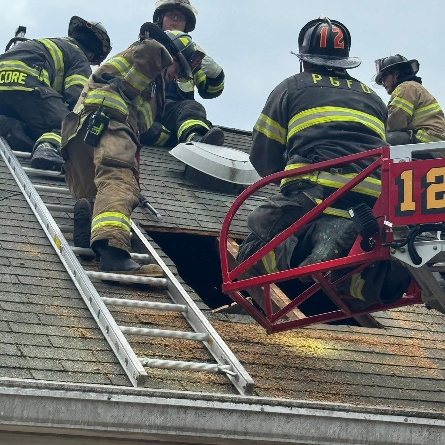 From the scene