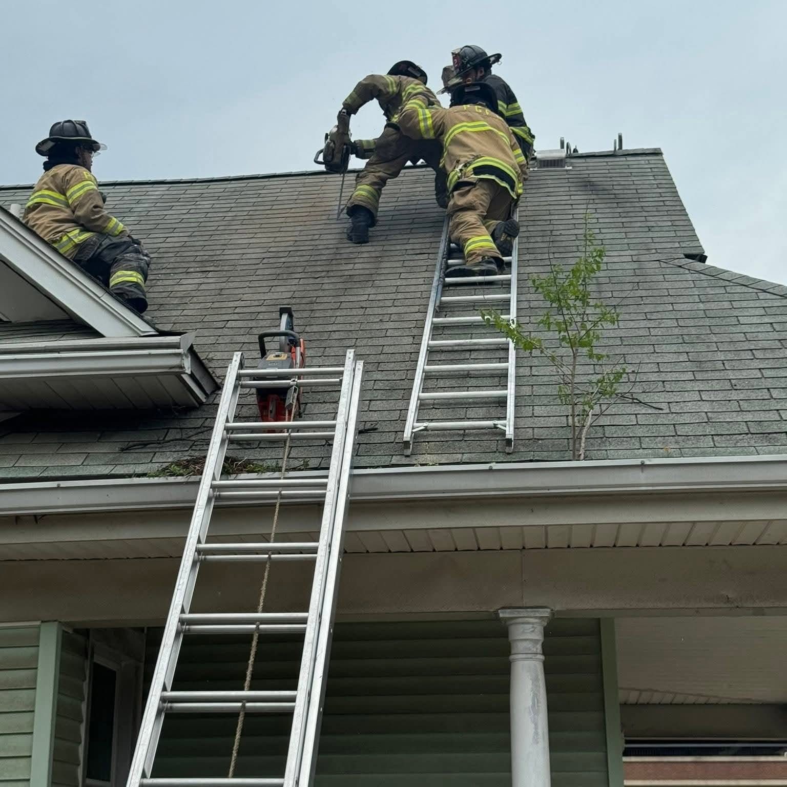 From the scene