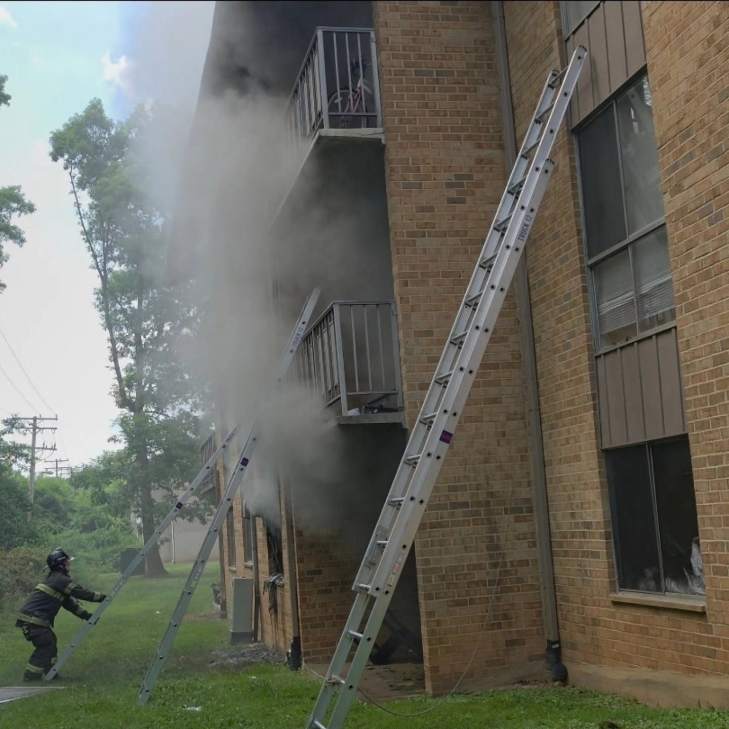 From the scene