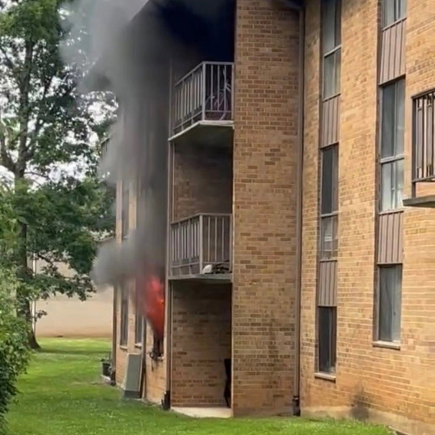 From the scene