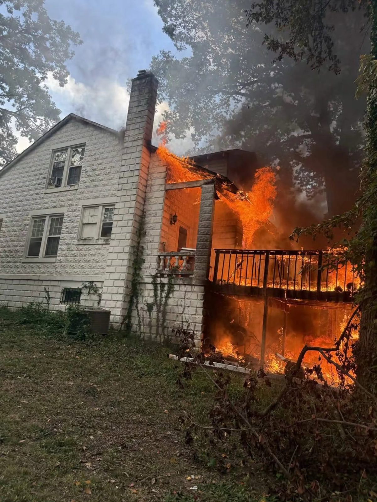 From the scene