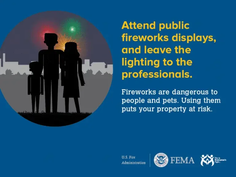 Family silhouette against a night sky with fireworks, promoting safety by encouraging attendance at public firework displays rather than personal use, with a reminder of the dangers fireworks pose to people, pets, and property.