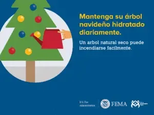 Mantenga su árbol navideño hidratado. un árbol natural seco puede incendiarse fácilmente.