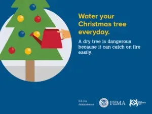 Keep your holidays safe: remember to water your christmas tree daily to prevent fire hazards.