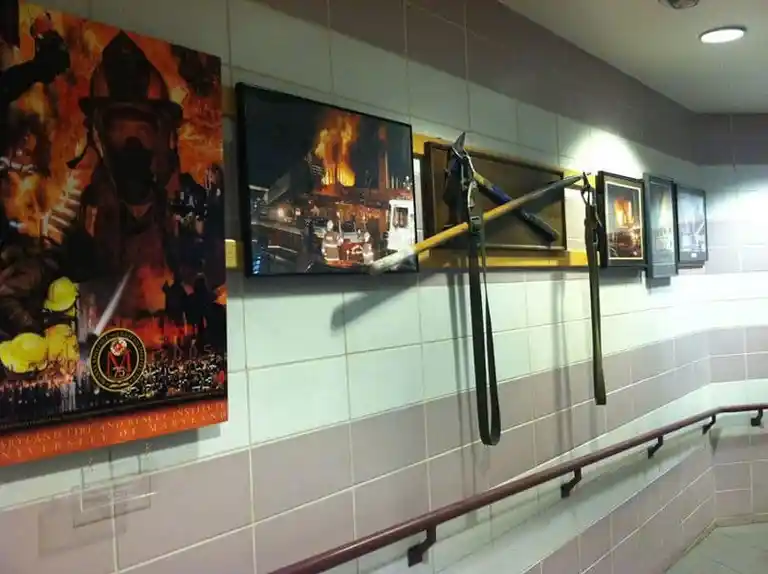 Station 12- Virtual Tour