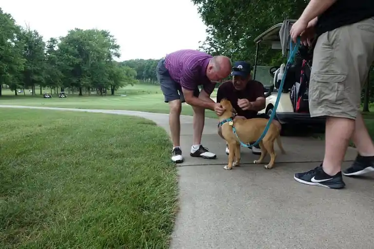 7th Annual Golf Tournament