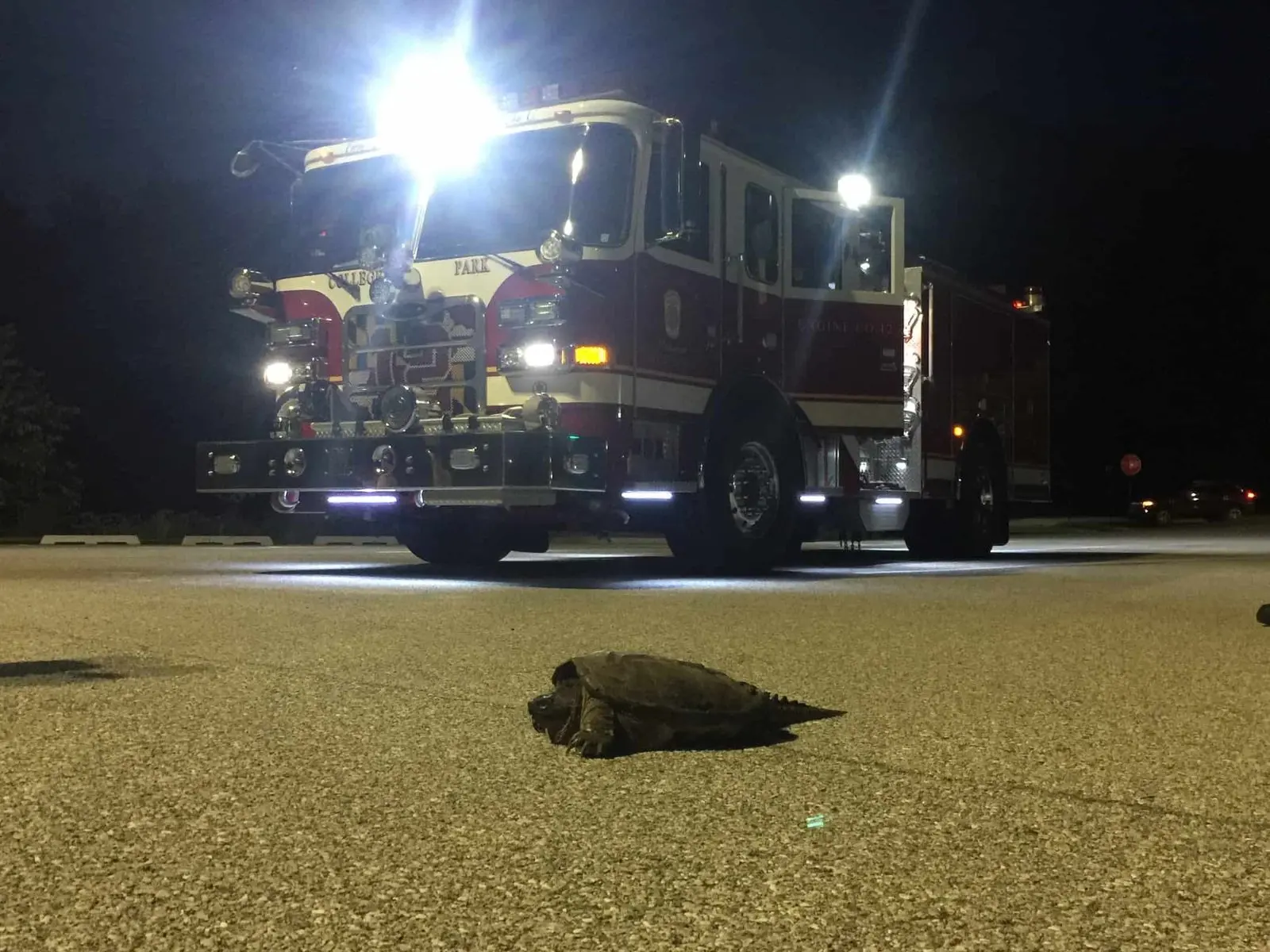 Members Assist UMPD