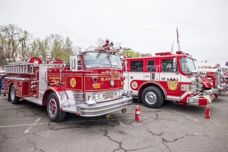 100th Anniversary Day 2 Muster