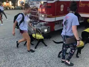Guide Dogs Meet Firefighters