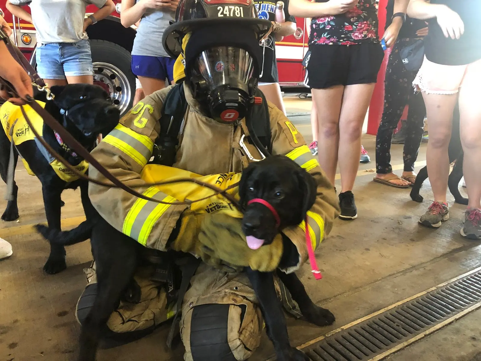Guide Dogs Meet Firefighters