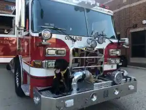 Guide Dogs Meet Firefighters