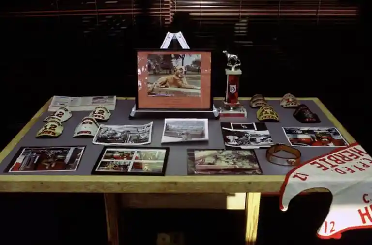 Steve Leahy Collection