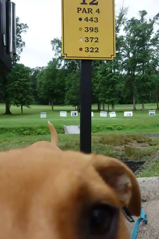 7th Annual Golf Tournament