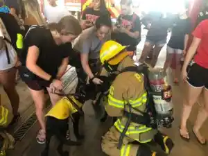 Guide Dogs Meet Firefighters